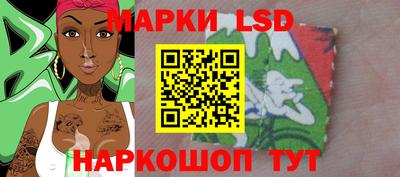 a pvp Новозыбков