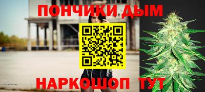 a pvp Новозыбков