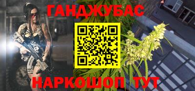 a pvp Новозыбков