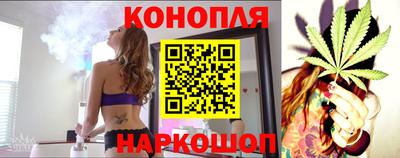 a pvp Новозыбков