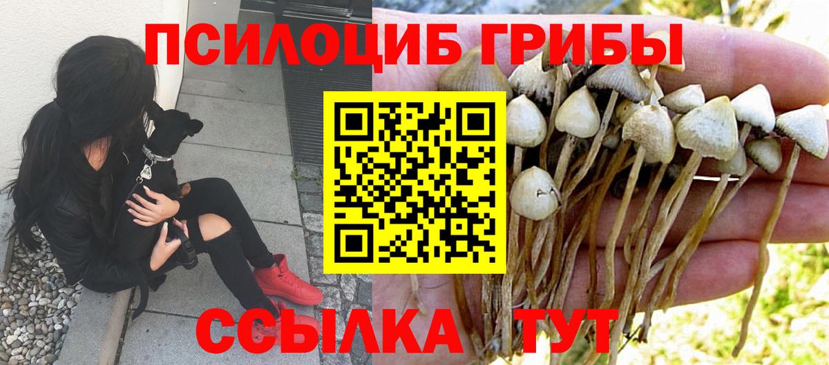 Саратов  Галлюциногенные грибы Psilocybe  Вход с VPN 